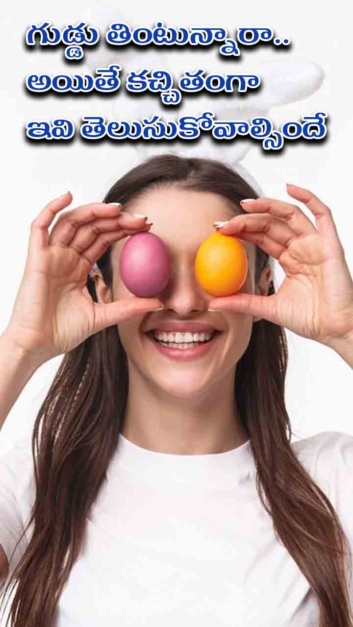 కోడి గుడ్డు తింటున్నారా.. అయితే కచ్చితంగా ఇవి  తెలుసుకోవాల్సిందే